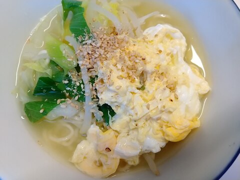 卵とネギ、もやしの塩ラーメン